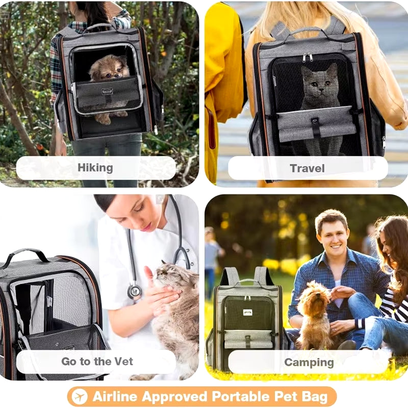 PetVenture Pro