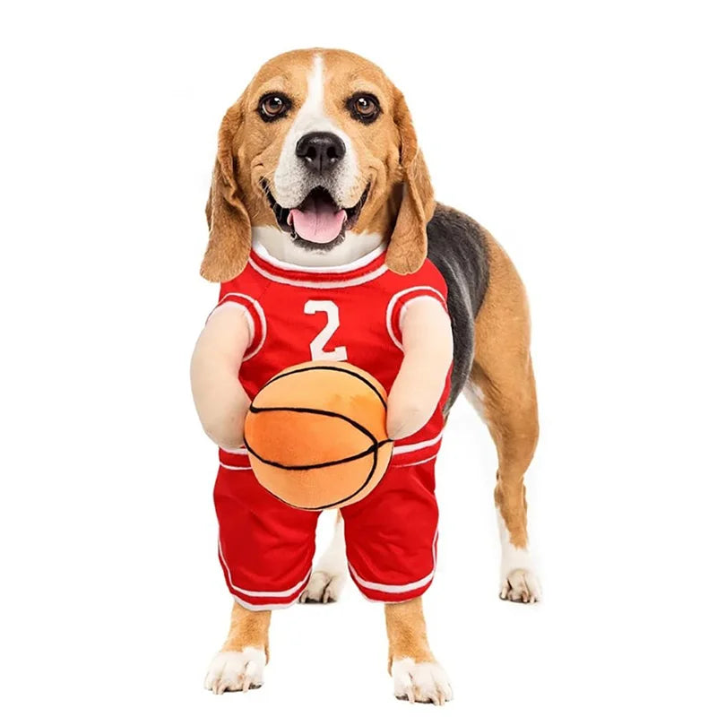 Bark-N-Ball Costume