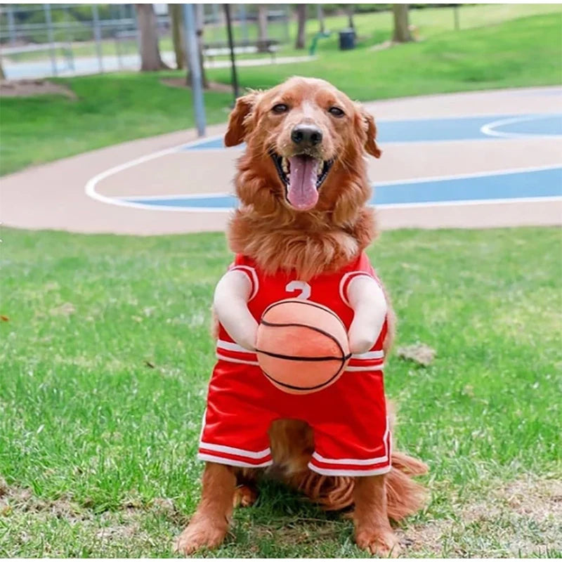 Bark-N-Ball Costume