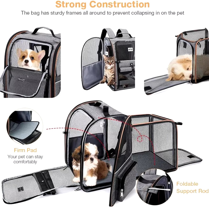 PetVenture Pro