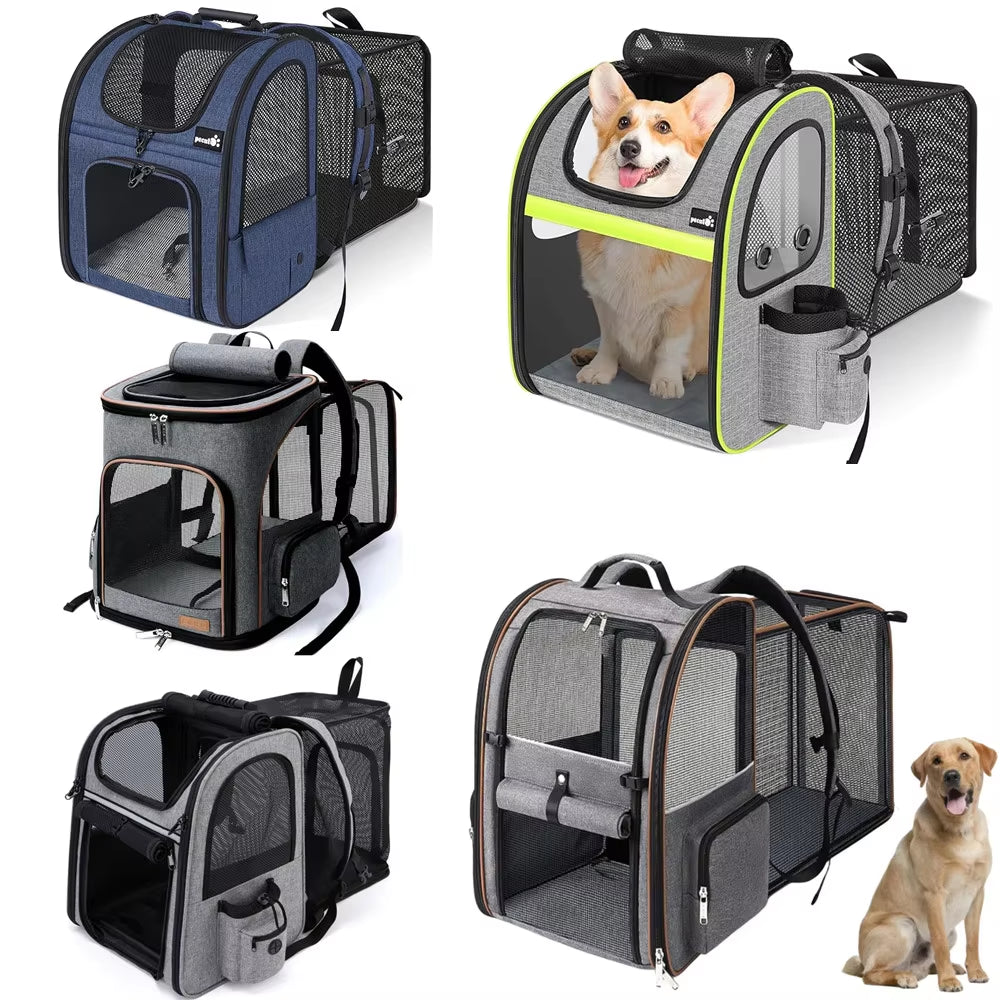PetVenture Pro